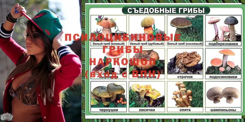 Псилоцибиновые грибы Magic Shrooms  хочу   блэк спрут маркетплейс  Краснокамск 